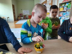 większy obrazek nr 26