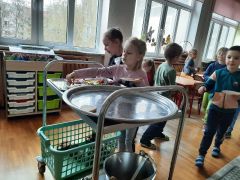 większy obrazek nr 22