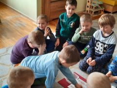 większy obrazek nr 3