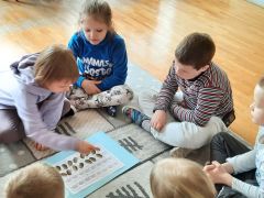 większy obrazek nr 8