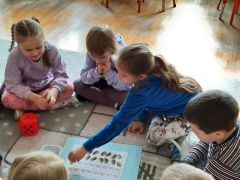 większy obrazek nr 10