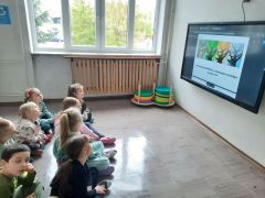 większy obrazek nr 2