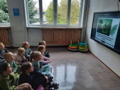 ilustracja do wpisu 
Dzień Ziemi