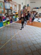 większy obrazek nr 18