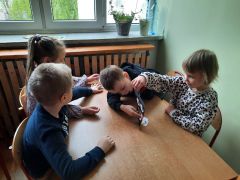 większy obrazek nr 31