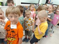 większy obrazek nr 9