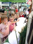 większy obrazek nr 14