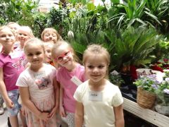 większy obrazek nr 51