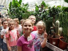 większy obrazek nr 52