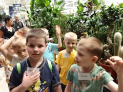 większy obrazek nr 53