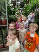 większy obrazek nr 54