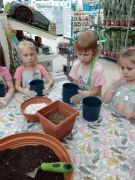 większy obrazek nr 62