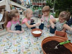 większy obrazek nr 64