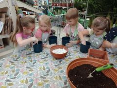 większy obrazek nr 65