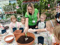 większy obrazek nr 67