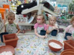 większy obrazek nr 69