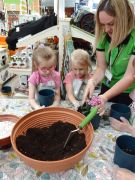 większy obrazek nr 71