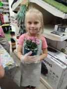 większy obrazek nr 72