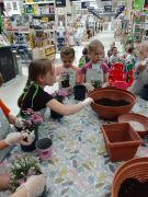 większy obrazek nr 73