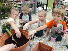 większy obrazek nr 74