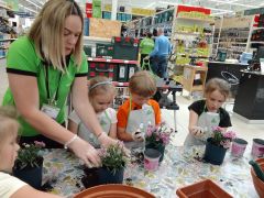 większy obrazek nr 76