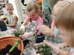 większy obrazek nr 77