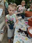 większy obrazek nr 81