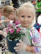 większy obrazek nr 82