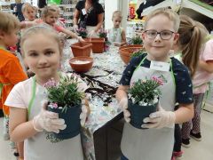 większy obrazek nr 83