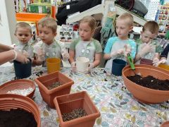 większy obrazek nr 88