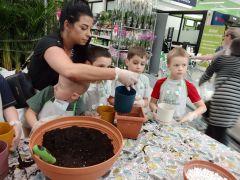 większy obrazek nr 93