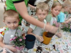 większy obrazek nr 96