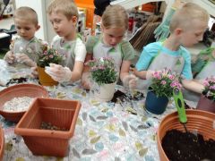 większy obrazek nr 97