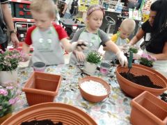 większy obrazek nr 98