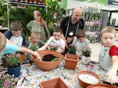 większy obrazek nr 100