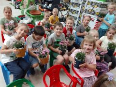 większy obrazek nr 108