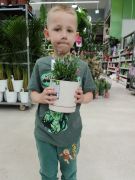 większy obrazek nr 110