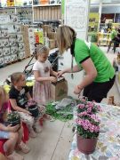 większy obrazek nr 111