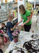 większy obrazek nr 112