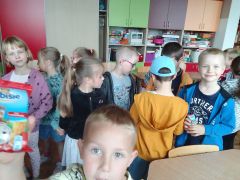 większy obrazek nr 8