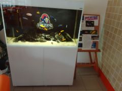 większy obrazek nr 13