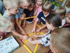 większy obrazek nr 11