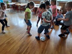 większy obrazek nr 21