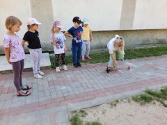 większy obrazek nr 51