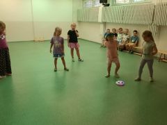 większy obrazek nr 66