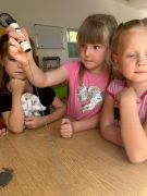 większy obrazek nr 1