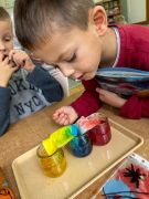 większy obrazek nr 13