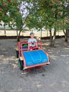 większy obrazek nr 7