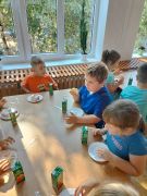 większy obrazek nr 7