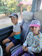 większy obrazek nr 2